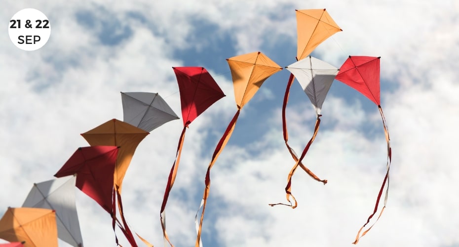 Local events, Coupeville, Whidbey Island, Washington, Things to do on Whidbey, Kites, Festivals, get outside, enjoy the colors